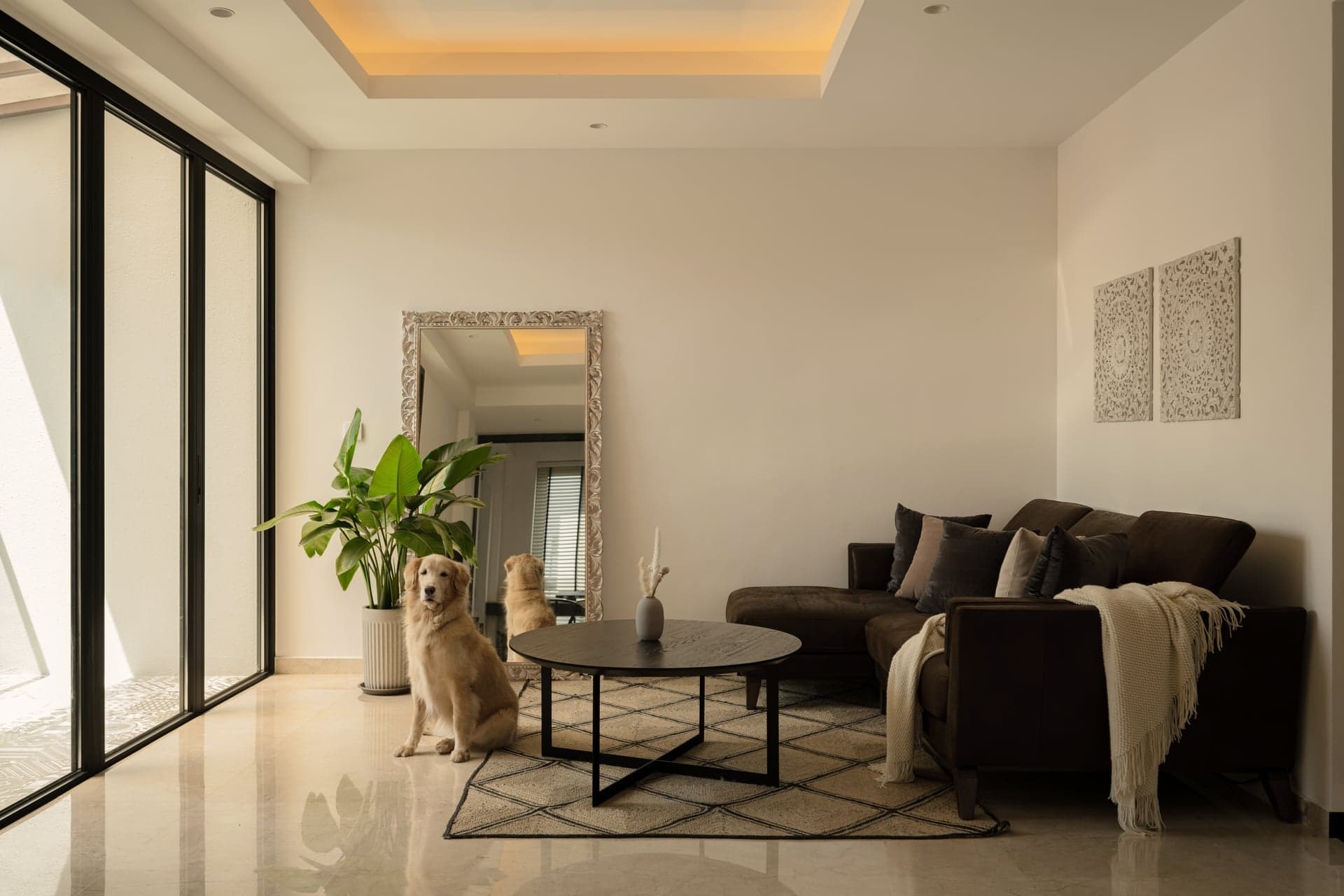 How to Choose an Interior Designer in Seletar